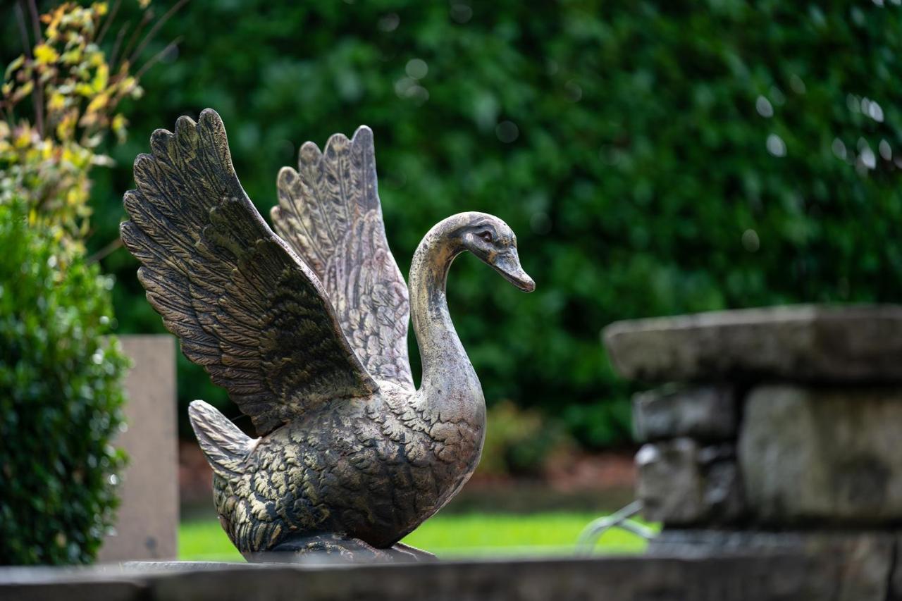 Lanelay Hall Hotel & Spa هينسول المظهر الخارجي الصورة The Swan